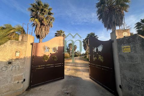 Villa i Mesagne, Brindisi, Mesagne - € 365.000 | Ref: Villa Palme - foto 2